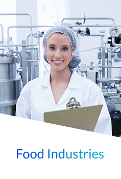 IT Staffing Solution