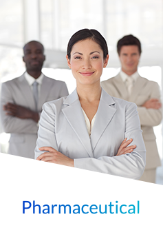 IT Staffing Solution